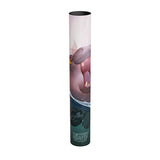 Dragon Shield - Art Playmat & Tube - The Snortle