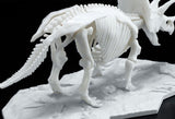 Bandai DINOSAUR LIMEX SKELETON TRICERATOPS