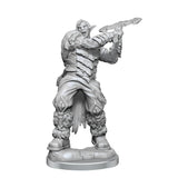 Critical Role Unpainted Miniatures: Ashari Stoneguard & Ashari Skydancer