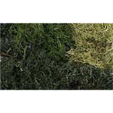 All Game Terrain G6501 Summer Mix EZ Bushes
