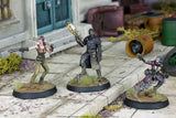 Fallout: Wasteland Warfare - Survivors Boston Companions