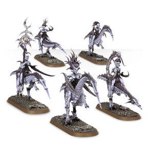 Hedonites of Slaanesh - Seekers of Slaanesh (Online Exclusive) 10% Off (Applied at checkout)