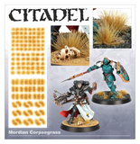 Citadel: Tufts