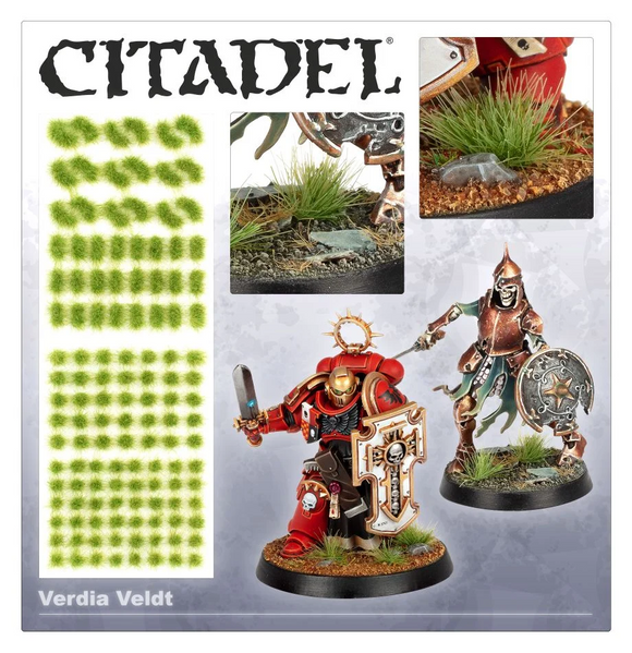 Citadel: Tufts