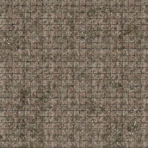 Flagstone Floor Gaming Mat 2x2 (Needs Prices)